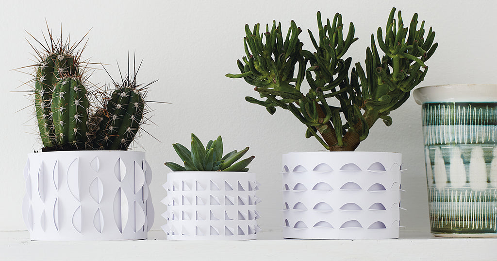Paper Plant Pot Holders