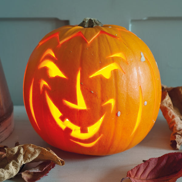 Creating Your Vintage Hallowe'en