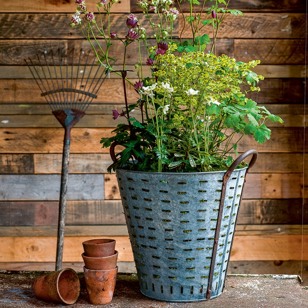 Small Summer Gardens