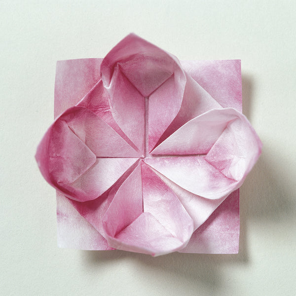 Japanese Origami