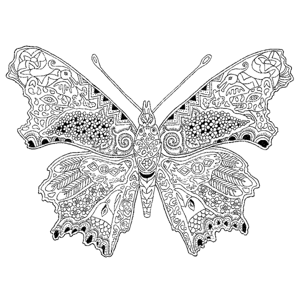 Colour Your Winged Spirit Animal Guides