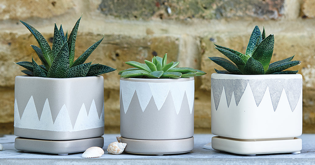 Mini Stenciled Planters