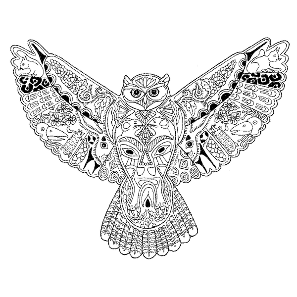 Colour Your Winged Spirit Animal Guides